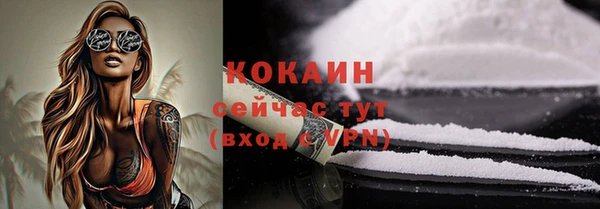 эйфоретик Арсеньев