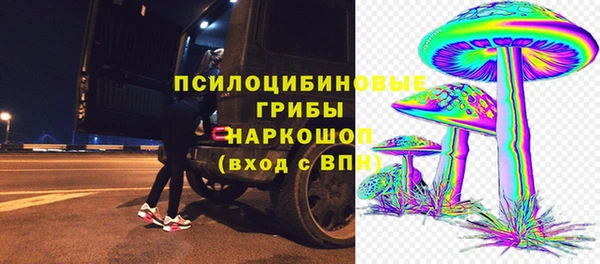 эйфоретик Арсеньев