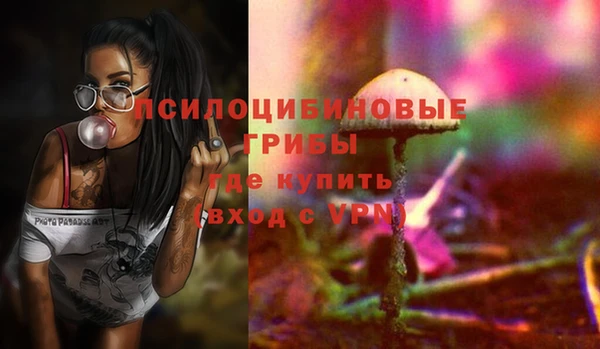 эйфоретик Арсеньев