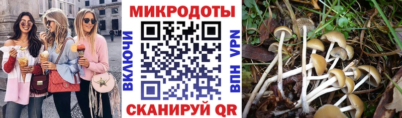 Галлюциногенные грибы Magic Shrooms  Тверь 