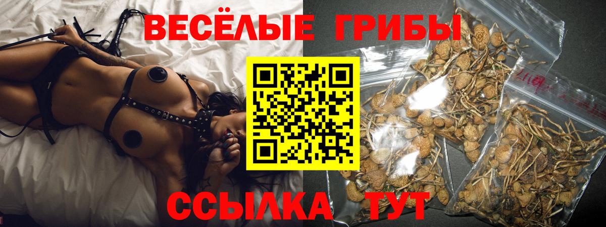 Тверь  закладки  Вход с VPN  Псилоцибиновые грибы мухоморы 