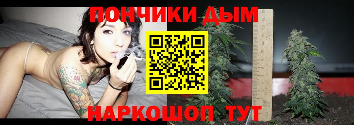 Бошки марихуана сатива Тверь