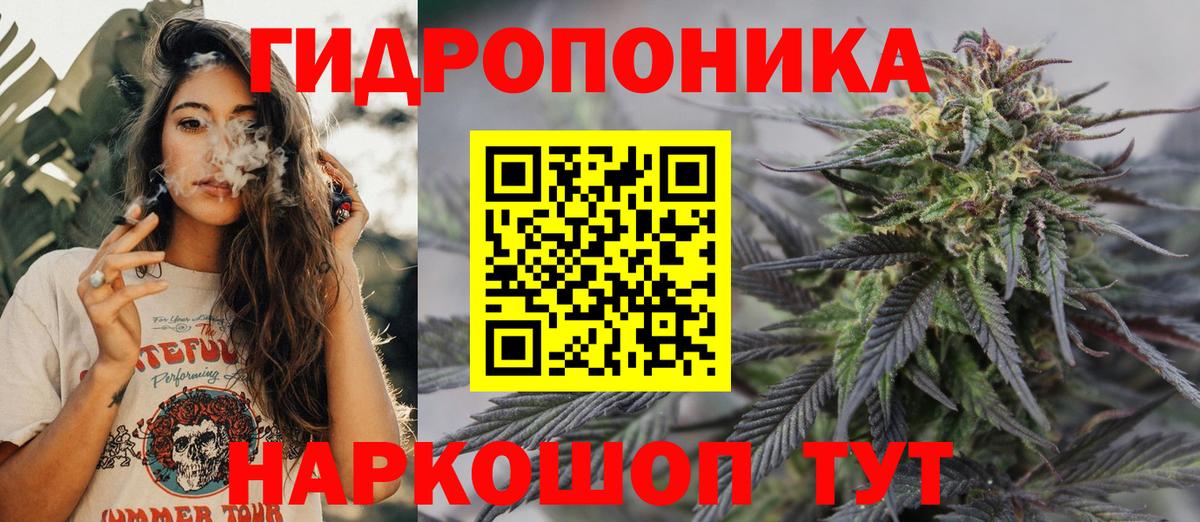 Конопля OG Kush  Бошки марихуана AK-47  Тверь  Марихуана THC 21%  Бошки Шишки THC 21%  Вход с VPN 